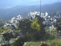 fruehling43 ueberm donnerwinkel